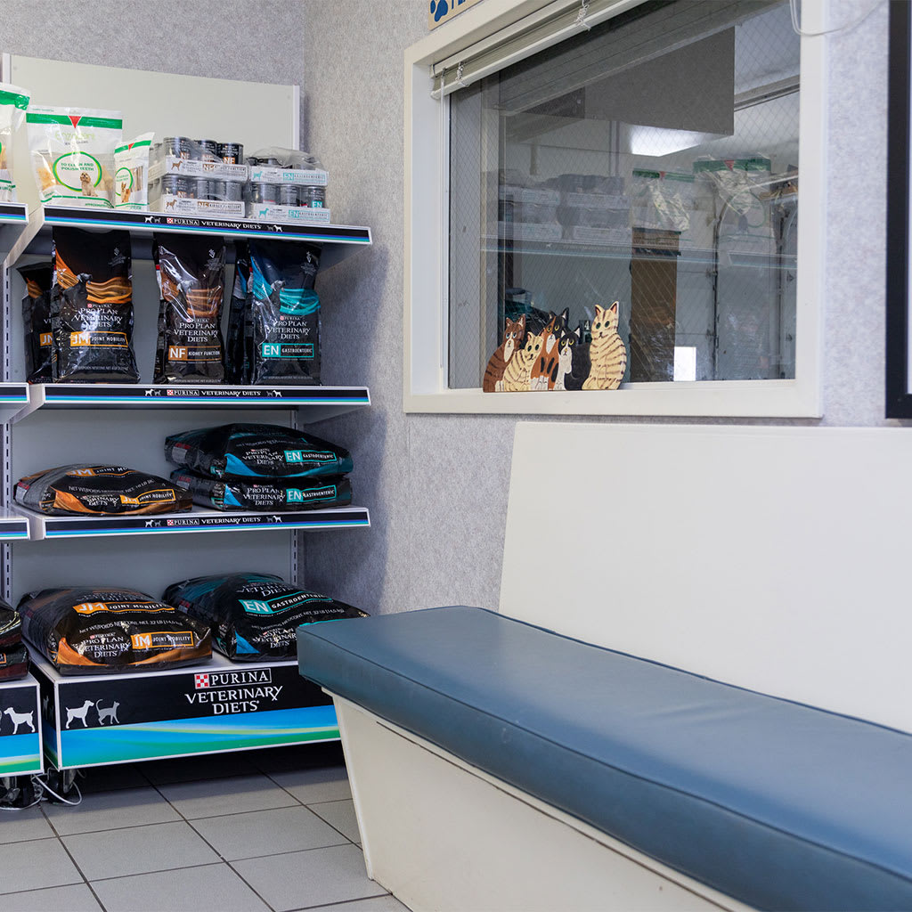 Hospital Tour Southwind Animal Hospital Memphis