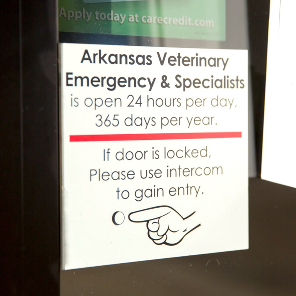 Hospital Tour Arkansas Veterinary Emergency & Specialists Little