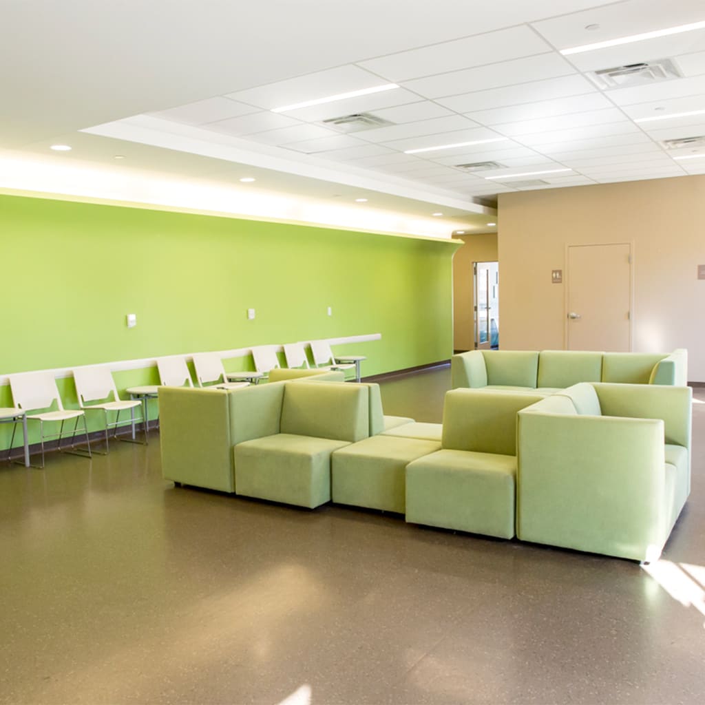 Hospital Tour Arkansas Veterinary Emergency & Specialists Little