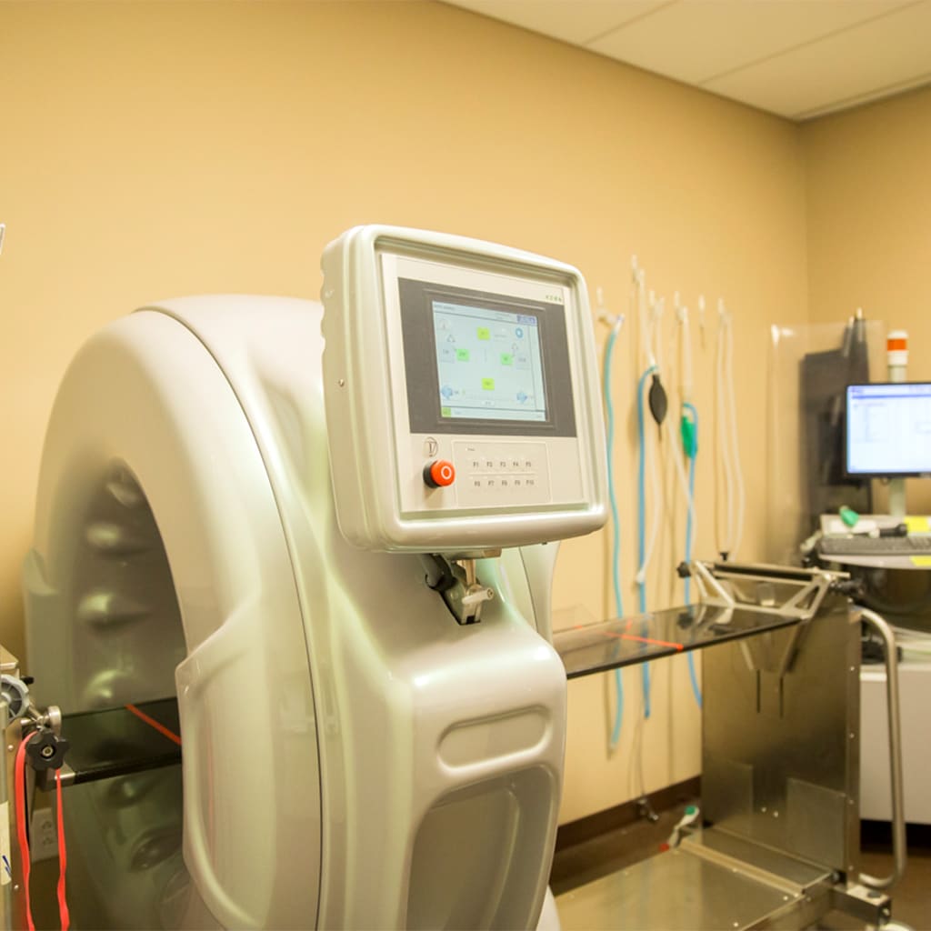 Hospital Tour Arkansas Veterinary Emergency & Specialists Little