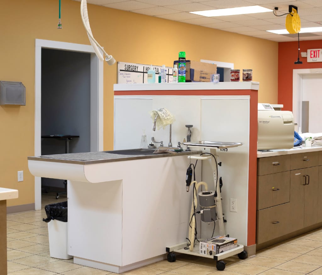 Hospital Tour Animal Hospital Waxhaw, North Carolina