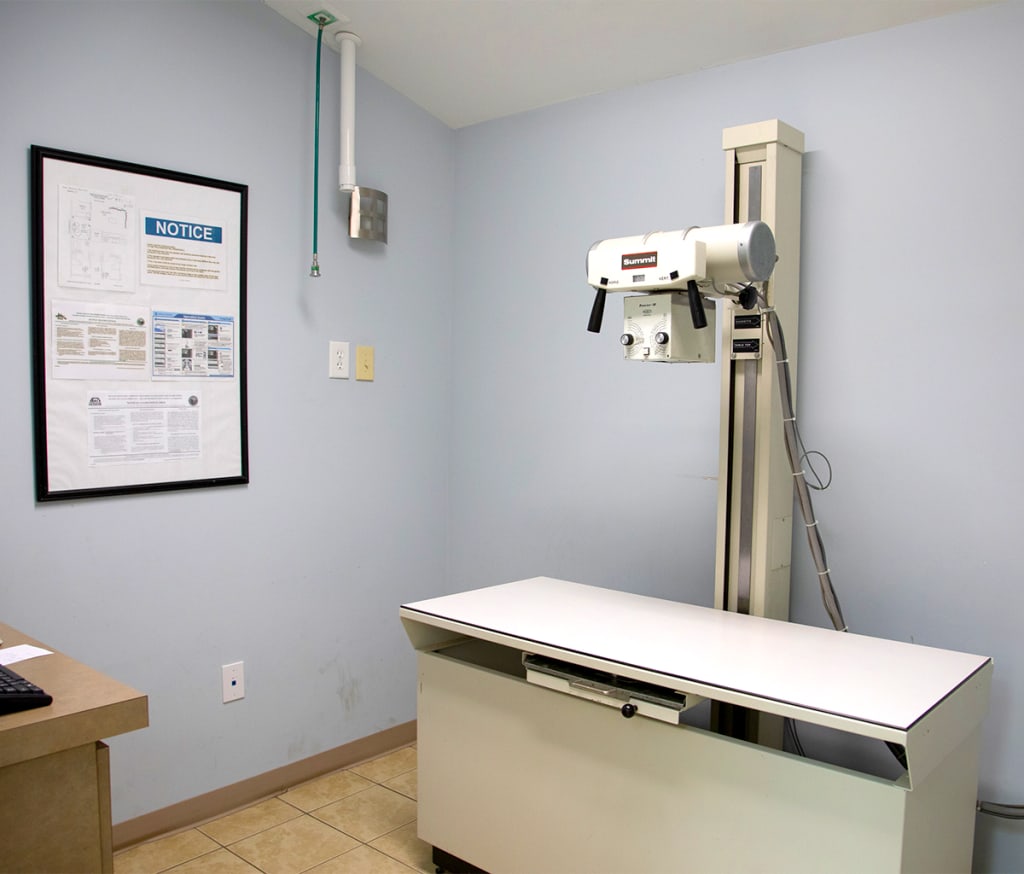 Hospital Tour Animal Hospital Waxhaw, North Carolina