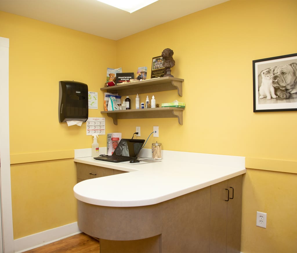 Hospital Tour Animal Hospital Waxhaw, North Carolina