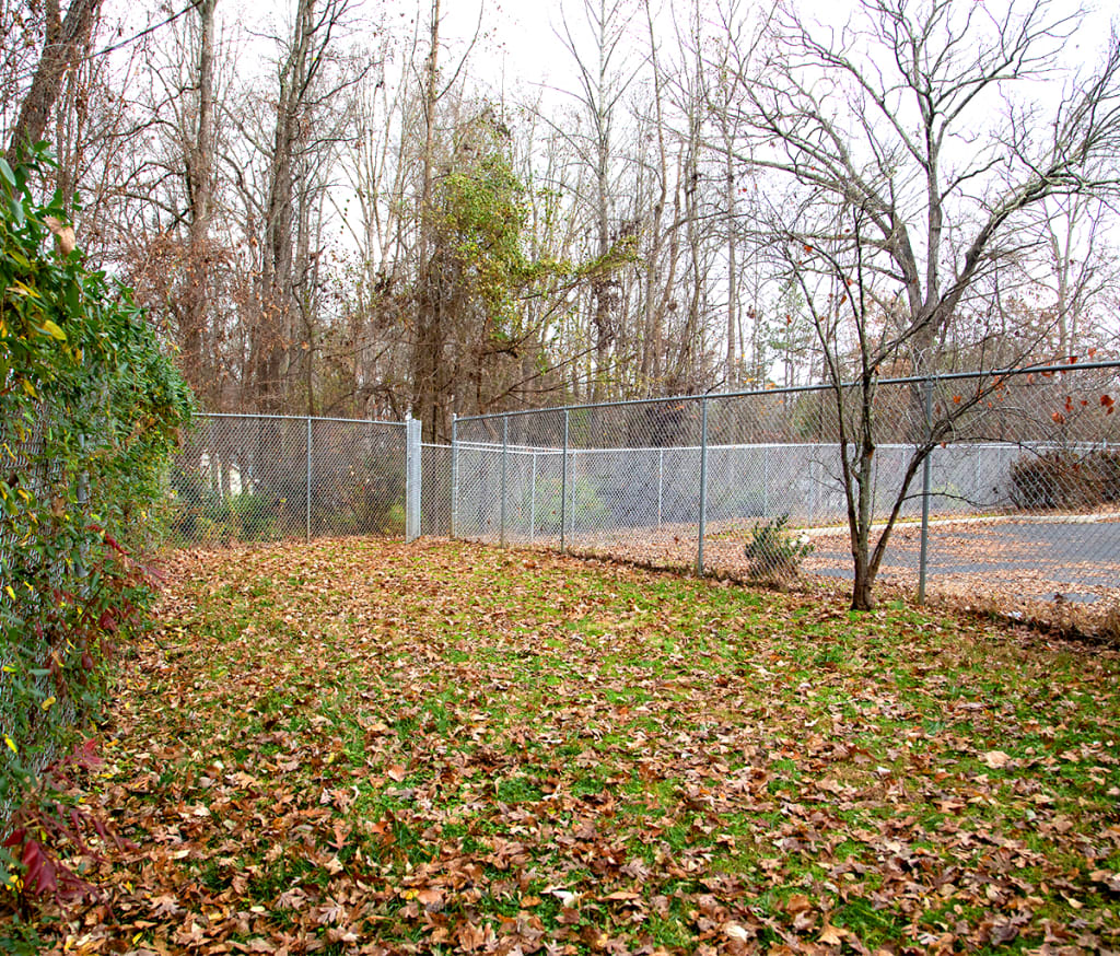 Hospital Tour Animal Hospital Waxhaw, North Carolina