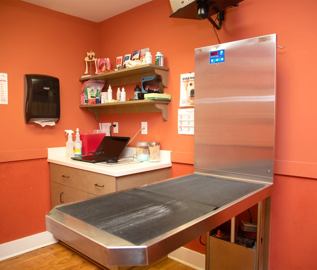 Hospital Tour Animal Hospital Waxhaw, North Carolina