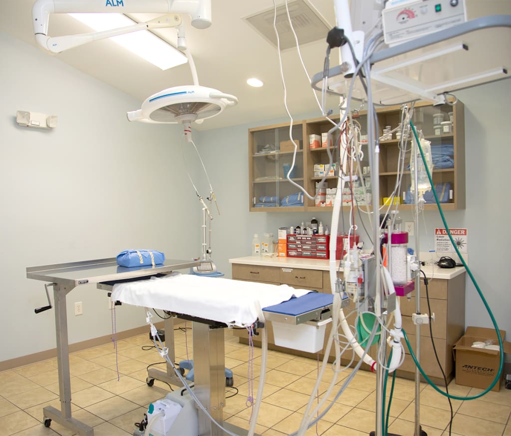 Hospital Tour Animal Hospital Waxhaw, North Carolina
