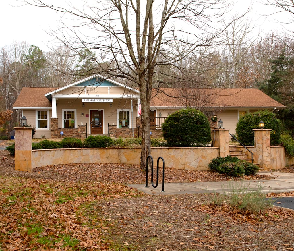 Hospital Tour Animal Hospital Waxhaw, North Carolina