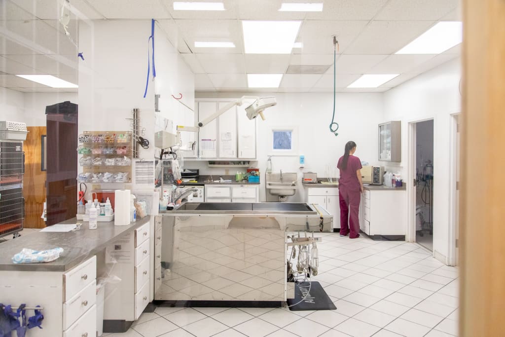 Tour LakeCross Veterinary Hospital Huntersville Vets