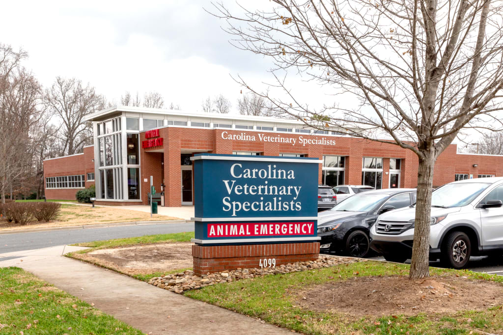 Hospital Tour Carolina Veterinary Specialists in Matthews