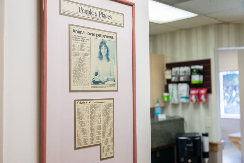 About our GuilfordJamestown Vet Hospital in Greensboro Open 6 Days a