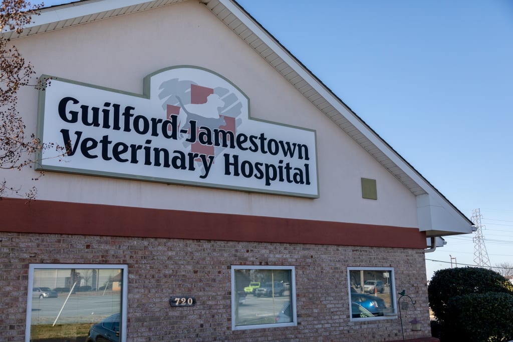 Hospital Tour GuilfordJamestown Veterinary Hospital