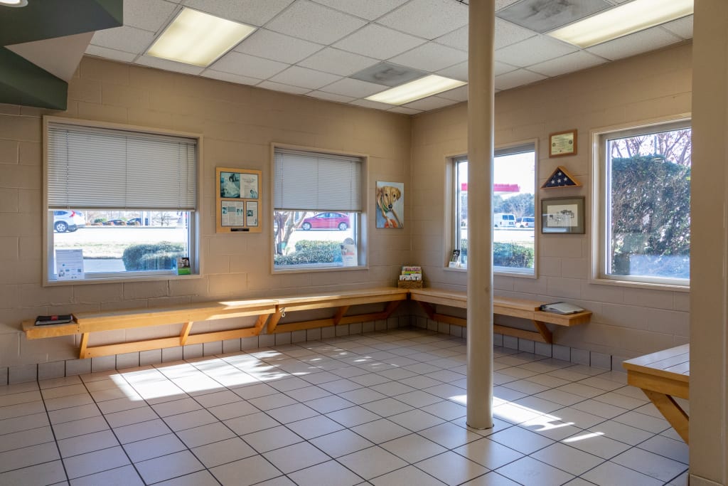 Hospital Tour GuilfordJamestown Veterinary Hospital