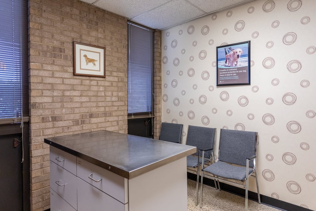 Hospital Tour GuilfordJamestown Veterinary Hospital