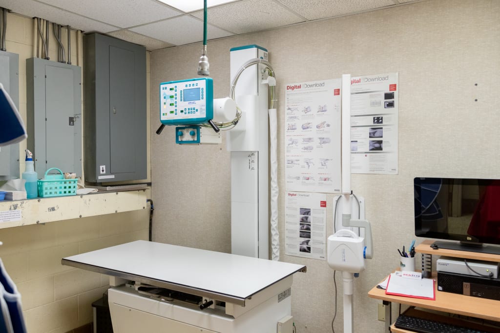 Hospital Tour GuilfordJamestown Veterinary Hospital