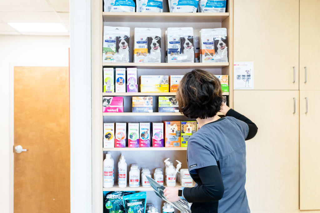 Hospital Tour GuilfordJamestown Veterinary Hospital