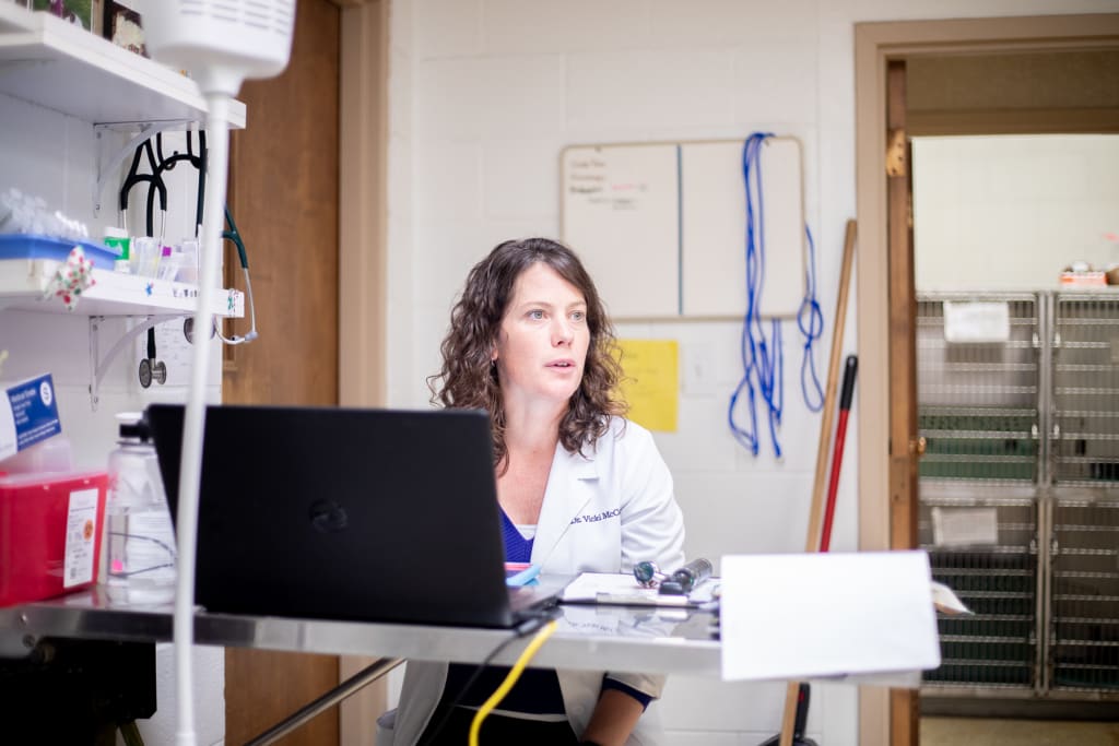 Hospital Tour GuilfordJamestown Veterinary Hospital
