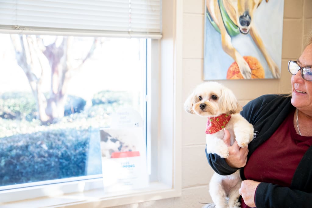 Hospital Tour GuilfordJamestown Veterinary Hospital