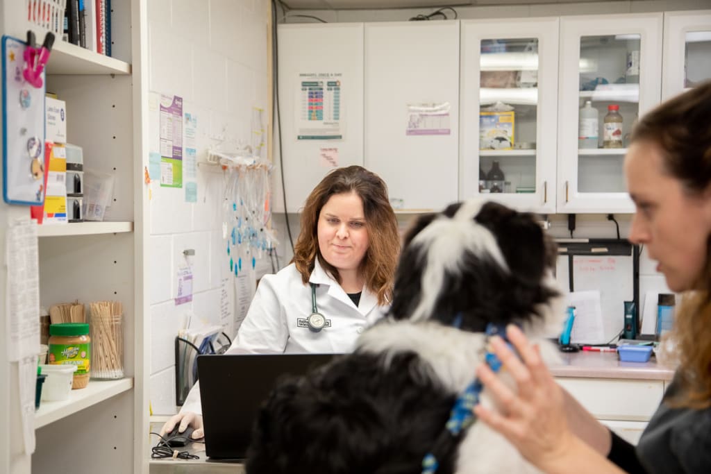 Hospital Tour GuilfordJamestown Veterinary Hospital