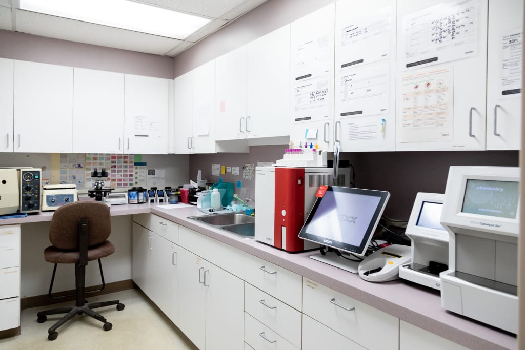 Hospital Tour GuilfordJamestown Veterinary Hospital