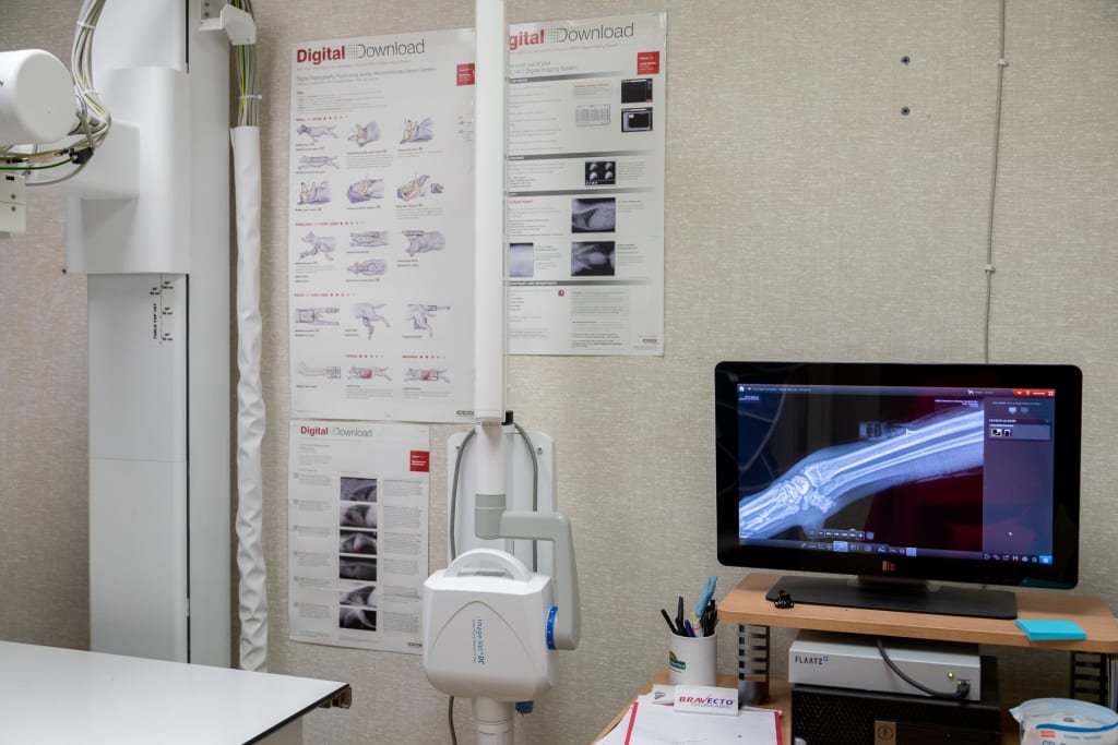 Hospital Tour GuilfordJamestown Veterinary Hospital