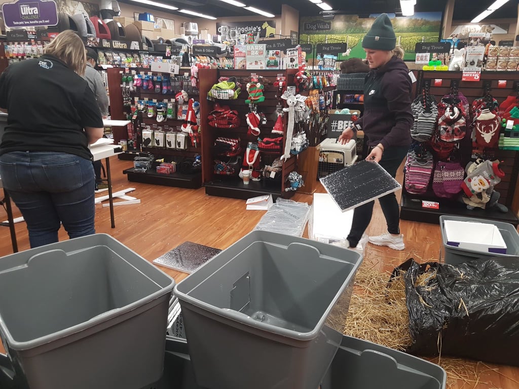 Volunteer with Pets Alive Niagara Animal Rescue