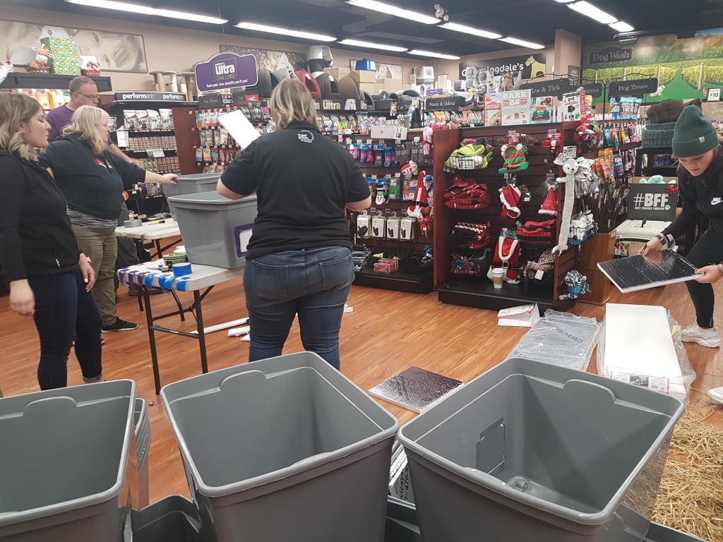 Volunteer with Pets Alive Niagara Animal Rescue