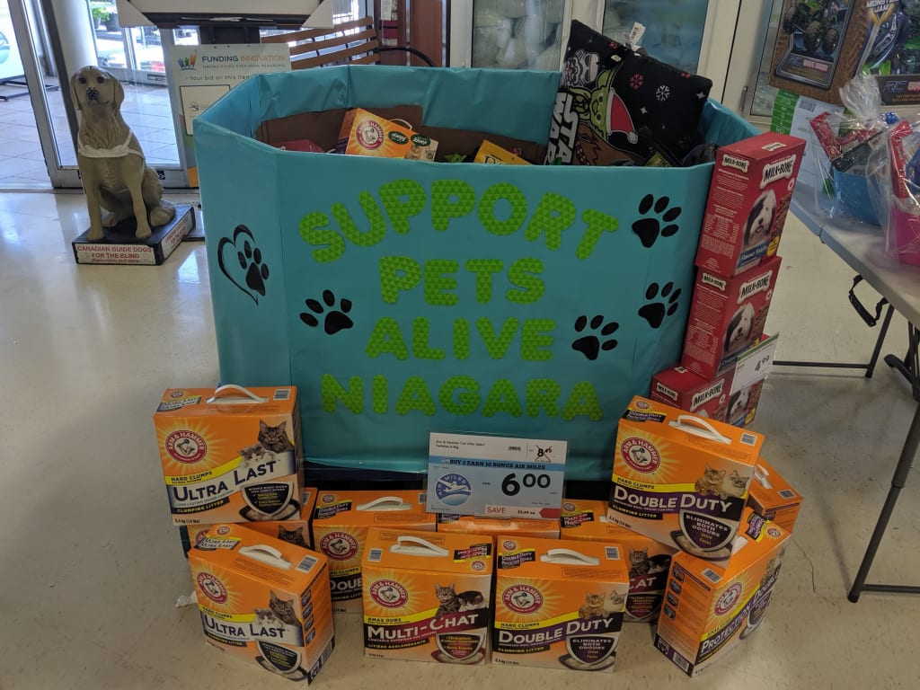 Volunteer with Pets Alive Niagara Animal Rescue