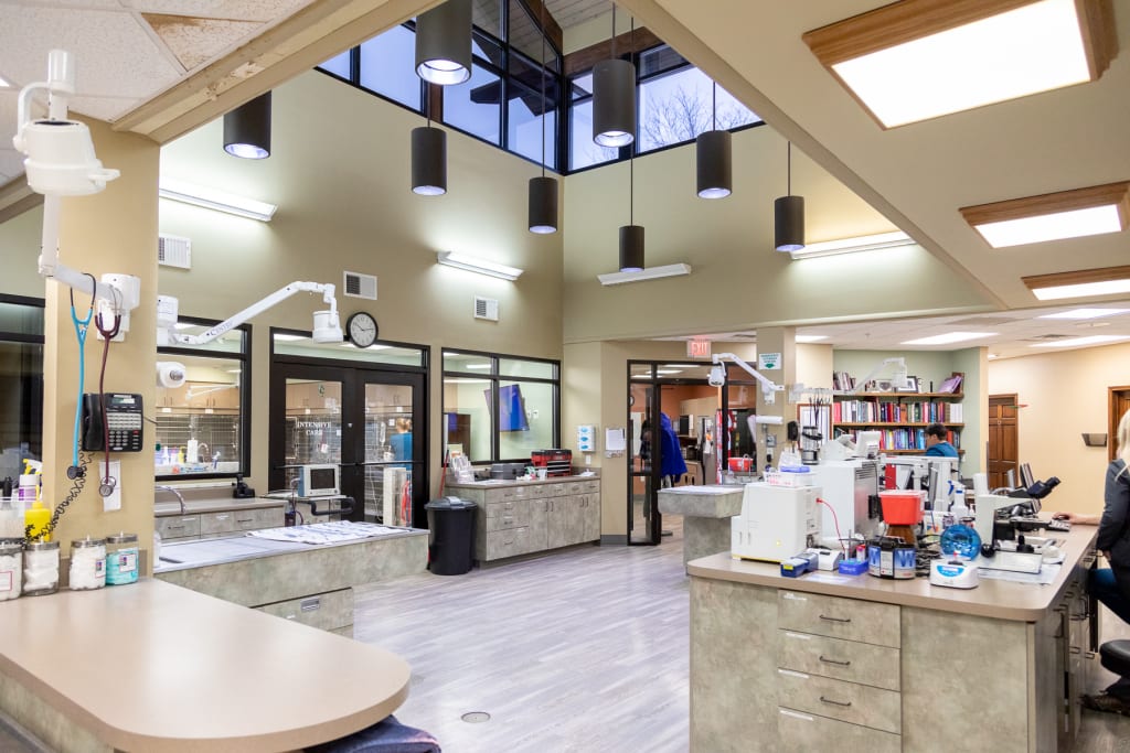 About Western Carolina Animal Hospital Flat Rock, NC