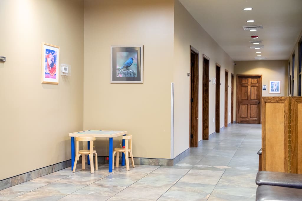 About Western Carolina Animal Hospital Flat Rock, NC