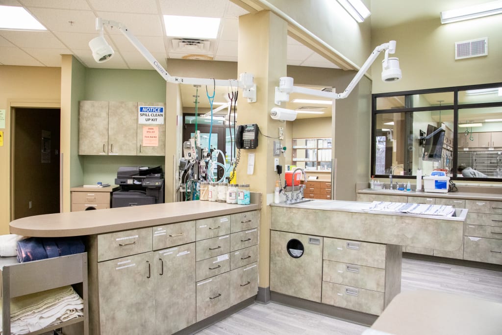 About Western Carolina Animal Hospital Flat Rock, NC