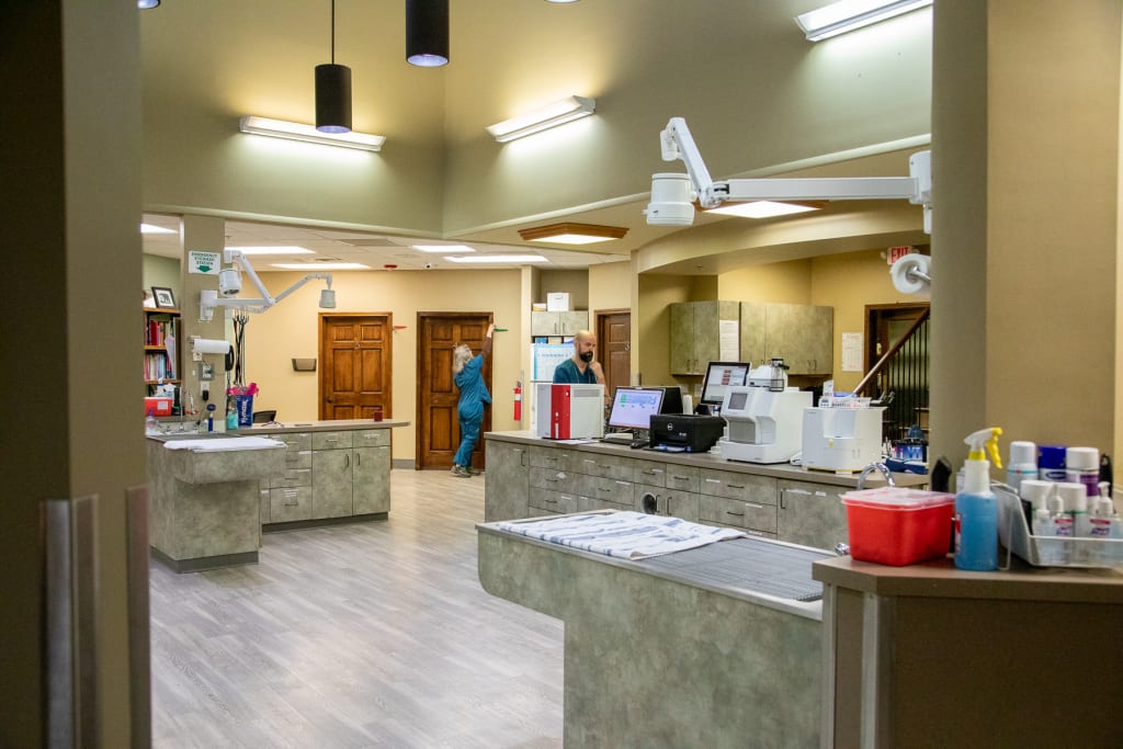 About Western Carolina Animal Hospital Flat Rock, NC