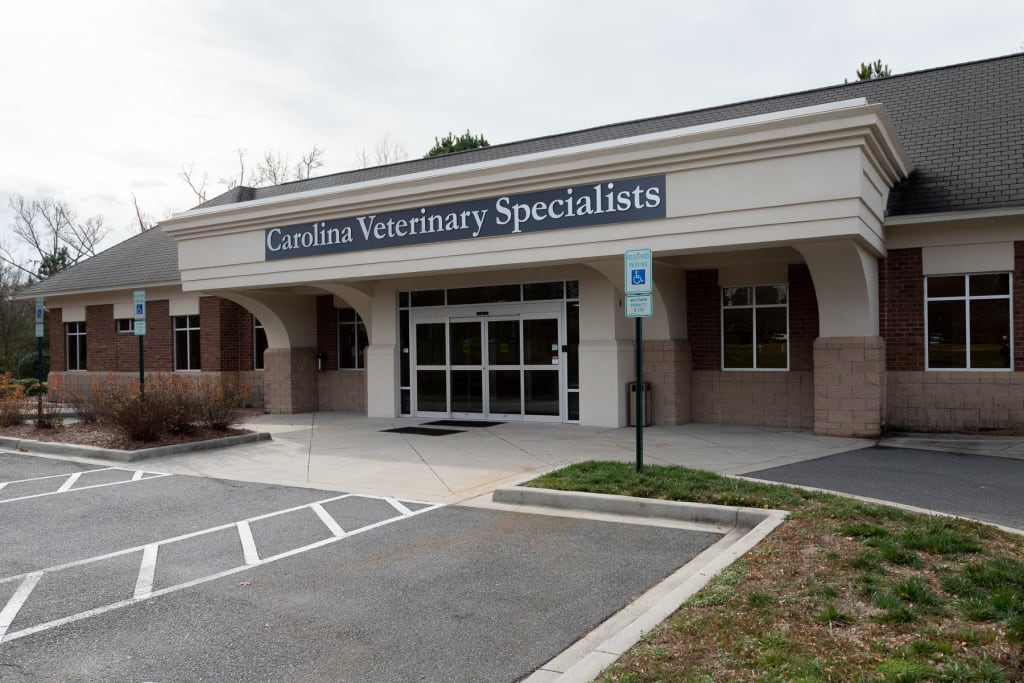 Hospital Tour Carolina Veterinary Specialists in Rock Hill