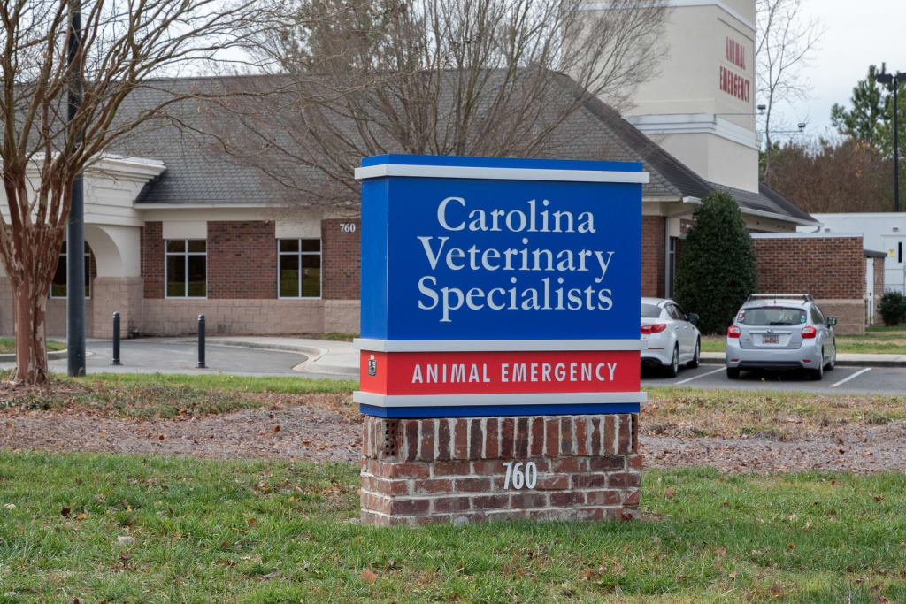 Hospital Tour Carolina Veterinary Specialists in Rock Hill
