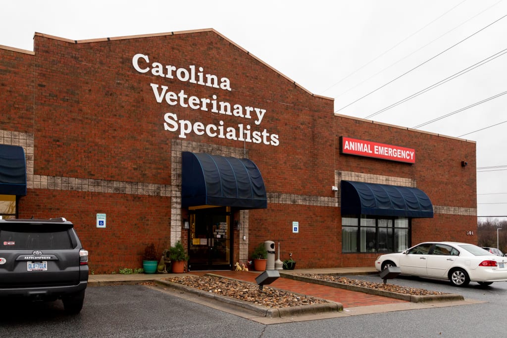 Hospital Tour Carolina Veterinary Specialists in Greensboro
