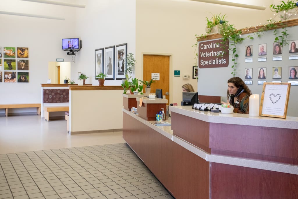 Hospital Tour Carolina Veterinary Specialists in Greensboro