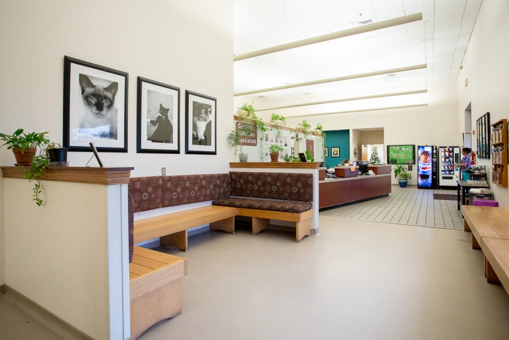 Hospital Tour Carolina Veterinary Specialists in Greensboro