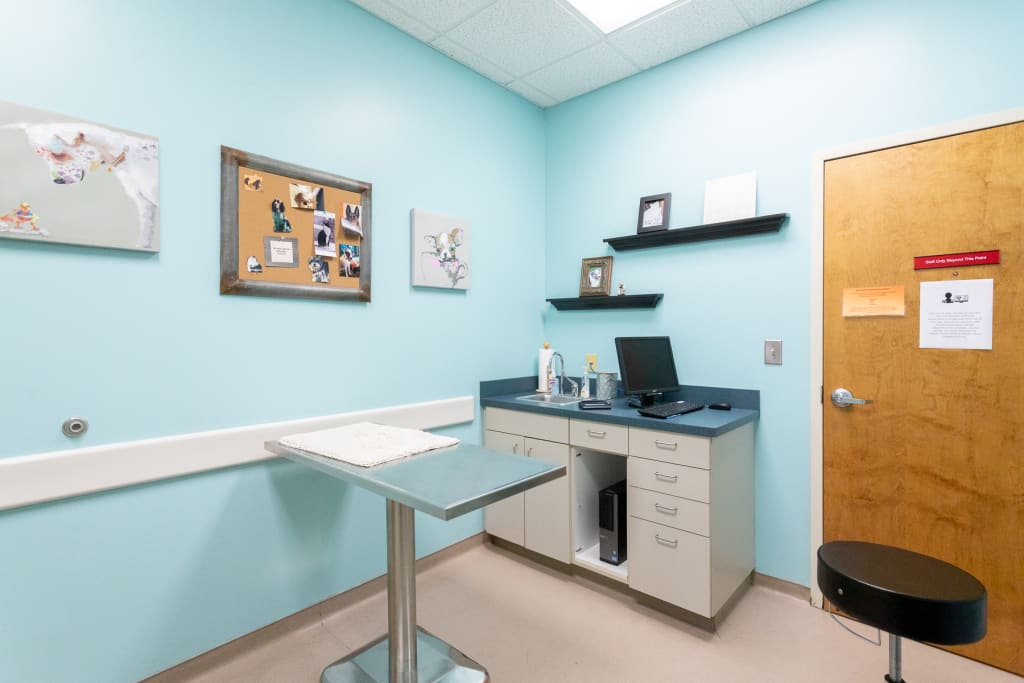 Hospital Tour Carolina Veterinary Specialists in Greensboro