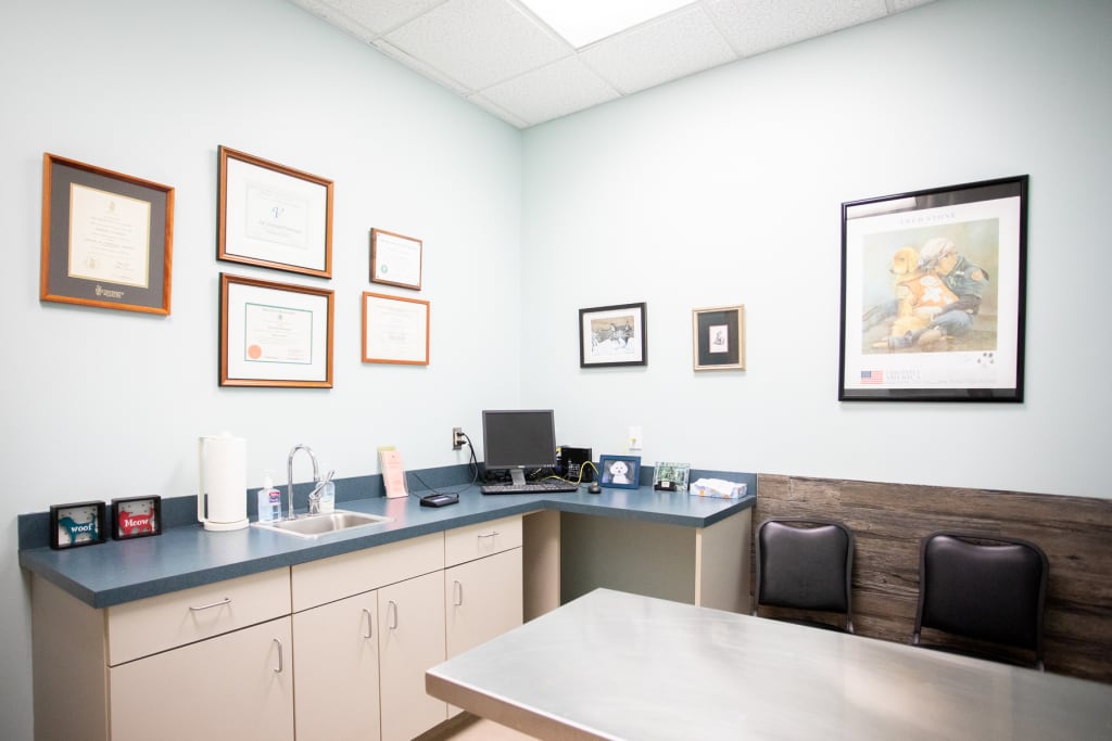 Hospital Tour Carolina Veterinary Specialists in Greensboro
