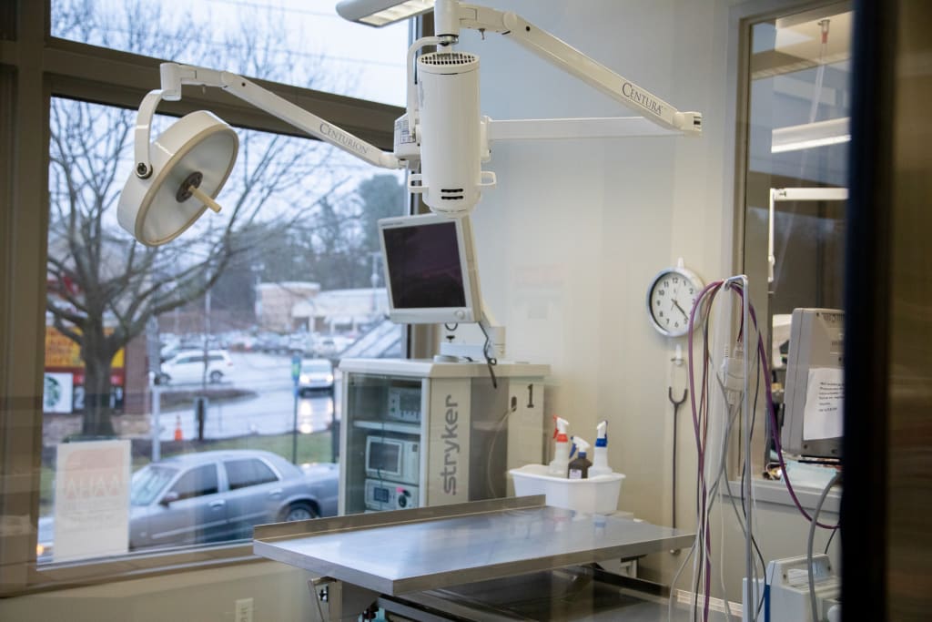 Tour Our Animal Hospital Animal Hospital of North Asheville