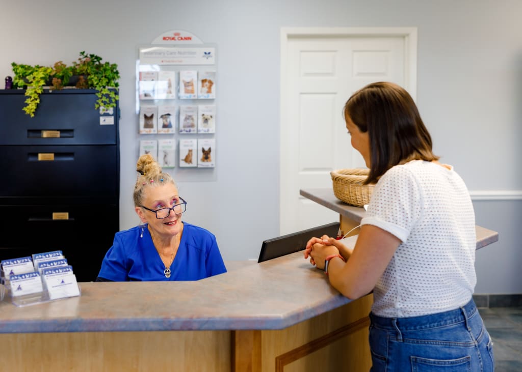 About Our Hospital Blue Mountain Veterinary Services
