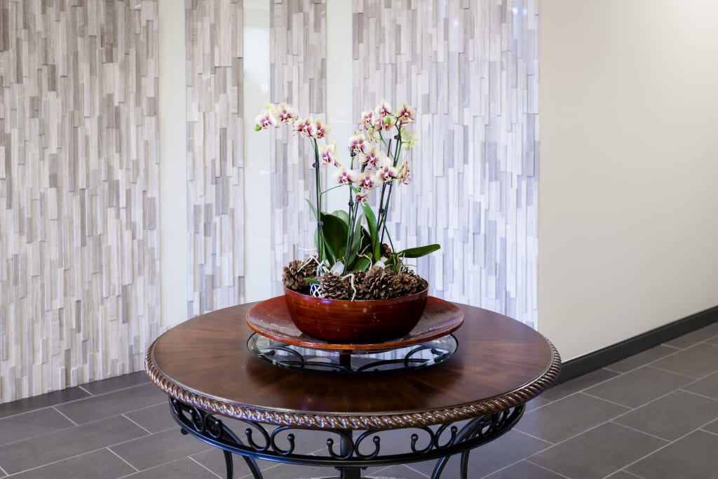 Our Dentists You to Ainslie Street Dental Centre in Cambridge