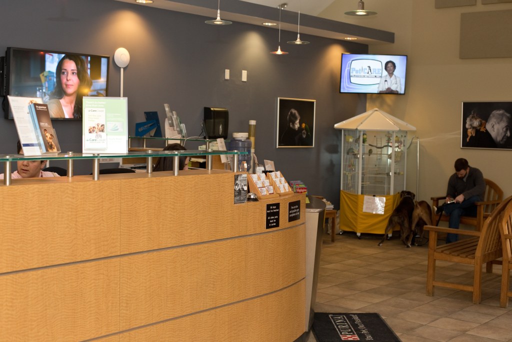 Tour Our Animal Hospital in South Wilton