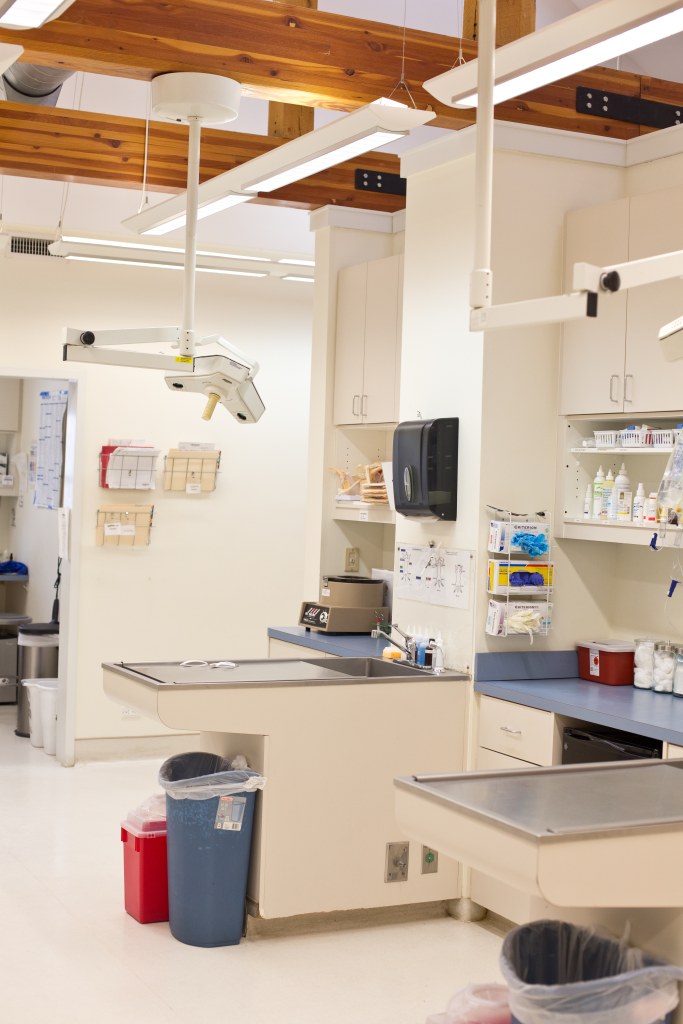 Tour Our Animal Hospital in South Wilton