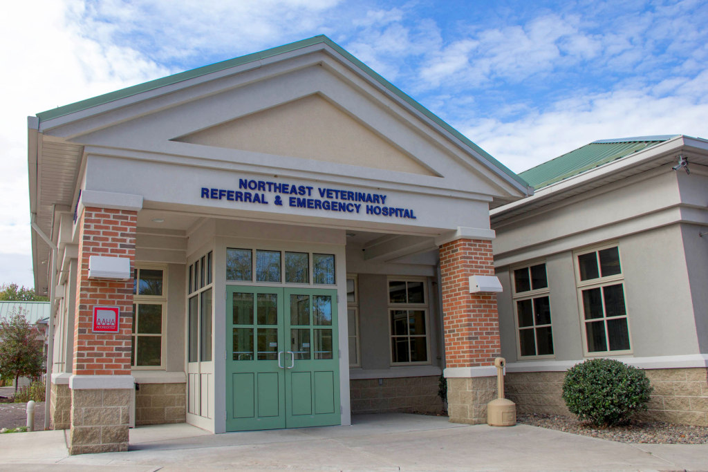 About Northeast Veterinary Referral Hospital in Plains Open 24/7