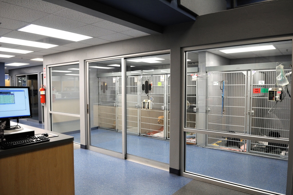 Hospital Tour Veterinary Specialty Center of Tucson in Tucson
