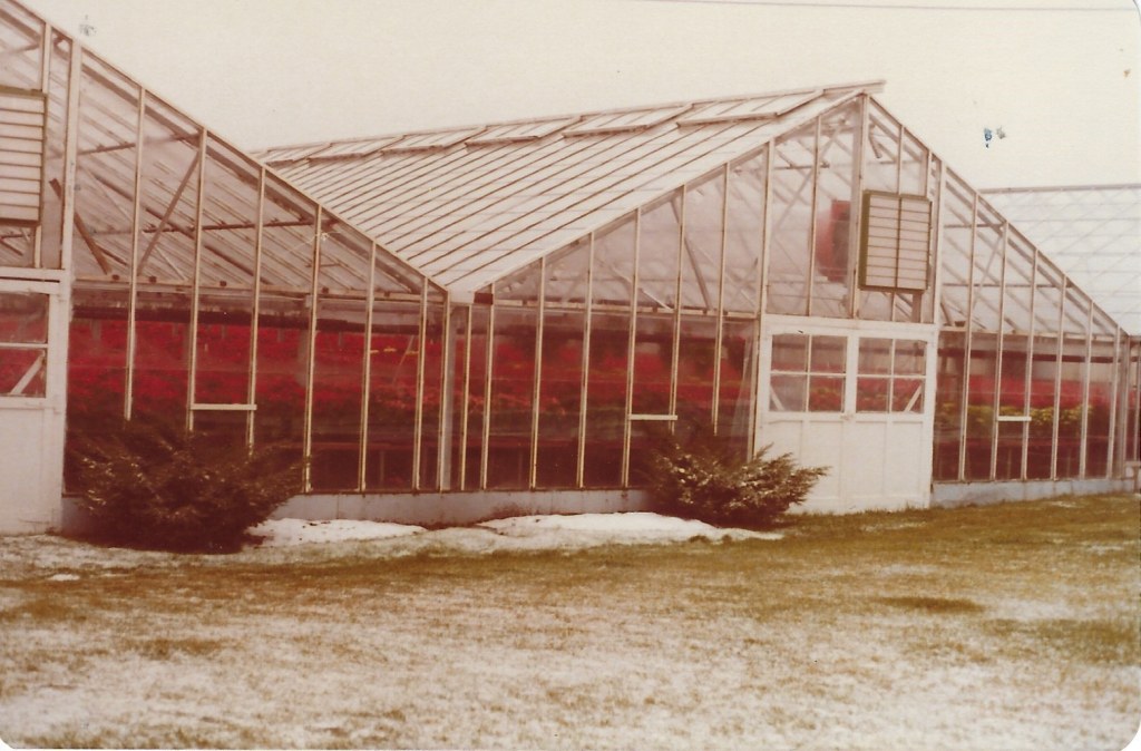 About Sobkowich Greenhouses in Grimsby, ON