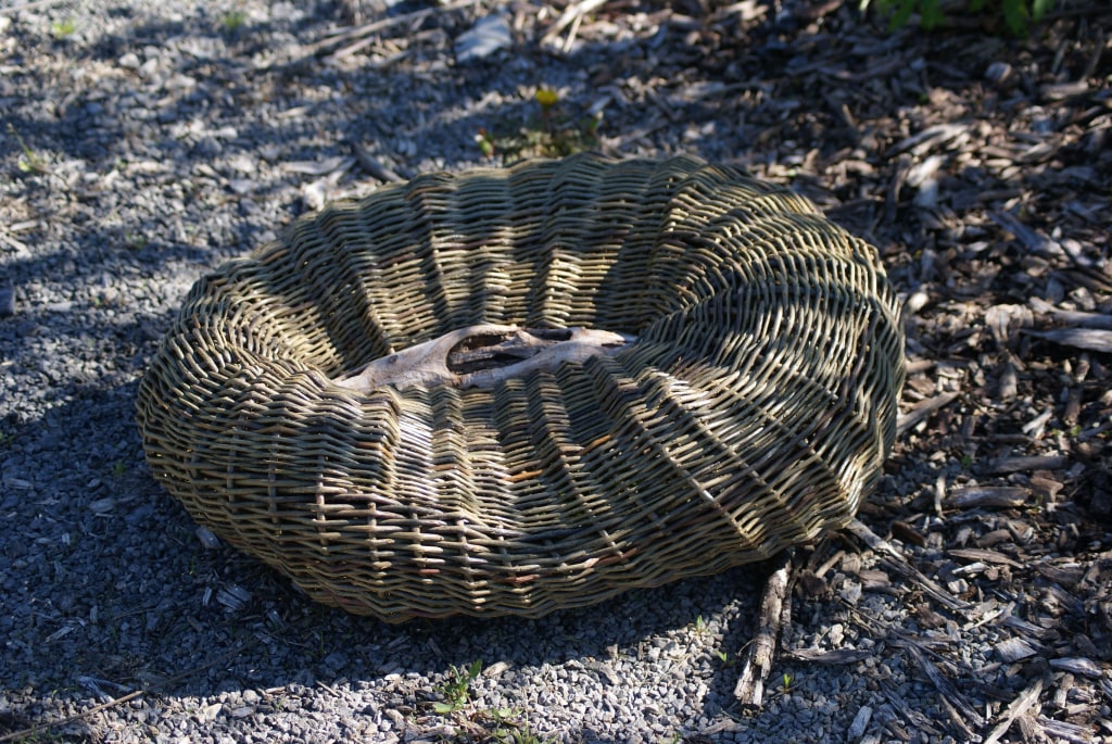 Organic Willow Baskets Photo Gallery Lakeshore Willows in Wainfleet, Ontario