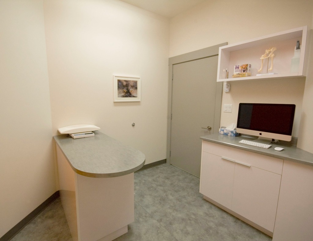 About Downtown Veterinary Clinic, Victoria GP Vet