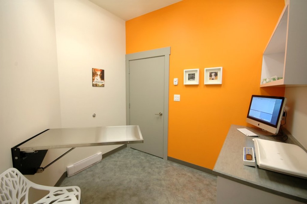 About Downtown Veterinary Clinic, Victoria GP Vet