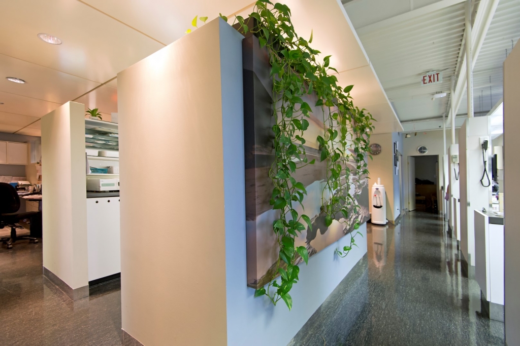 Our Practice Austin Heights Dental Centre Coquitlam Dentist